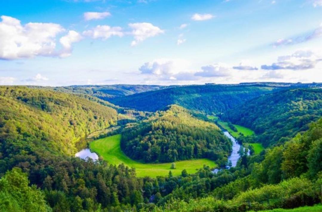 Joli Nid Au Coeur Des Ardennes Daire Bièvre Dış mekan fotoğraf